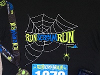 2016 Run Scream Run 10K  2016 Run Scream Run 10K : 10K, Ann Arbor, kasdorf, running
